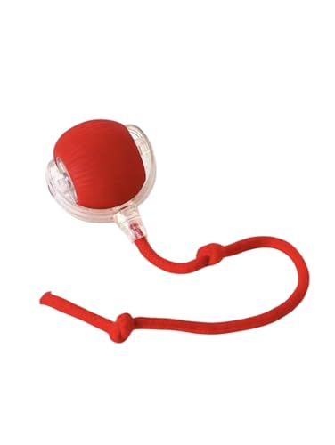 CLOVERSS® Katzenspielzeug, interaktiver Ball für Katzen, Zubehör für Katzen, Katzenspielzeug, Katzenspielzeug, Katzenspielzeug von CLOVERSS