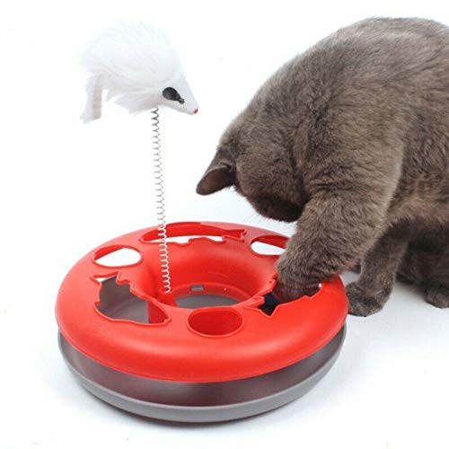 CLQ 2pcsInteraktives Katzenspielzeug, Spring Mouse Plattenspieler Donut Form Indoor Haustier Katzenspielzeug Disc Track Mit Klingelnden Bell Ball Vier Farben von CLQ