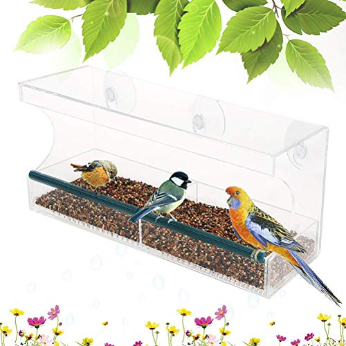 CLQ Fenster Vogelhäuschen Transparenter Vogelhäuschen Outdoor Vogelhäuschen mit 3 Saugnäpfen Tolle Geschenkidee für Naturliebhaber von CLQ