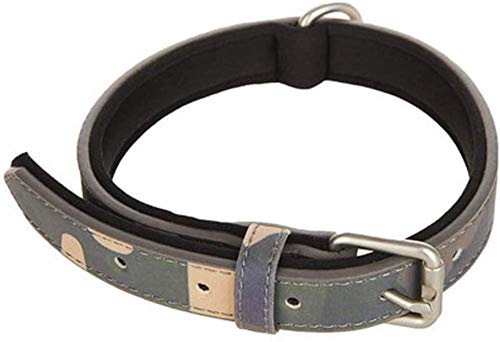 CLQ Katzenhalsband, Hundehalsband Haustierhalsband Haustierhalsband Halsband Schnellverschlussschnalle, geeignet für die meisten Haustiere von CLQ