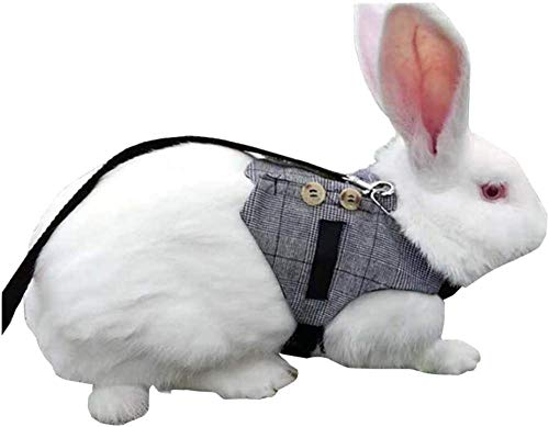 CLQ Rabbit Vest Harness und Leash Set Verstellbarer formeller Anzugstil für Bunny Kitten Small Animal Walking von CLQ