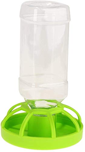 CLQ Wasserspender Automatischer Wasserspender Für Reptilienschildkröten von CLQ