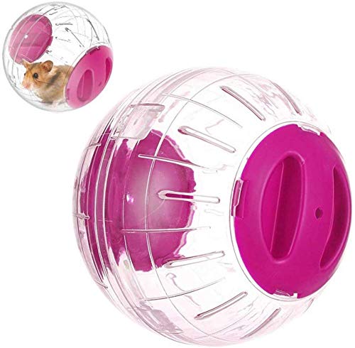 Hamster Ball, 12 cm Mini Pet Training Spielzeug Aus Klarem Kunststoff Für Hamster von CLQ