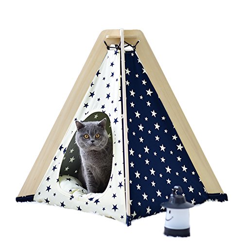 CLS Little Dove Hause und Zelt mit Spitze für Hund oder Haustier, abnehmbar und waschbar mit Matraze Stern von little dove