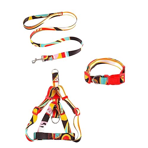 CLSSLVVBN 3 Teile/Satz Haustier Halsband Leine Zinklegierung Einstellbare Outdoor Walking Mode Geschirr Waschbar Haustier Personalisiert, Schwarz,2x120cm, L CLSSLVVBN 3 Teile/Satz Haustier Halsband Leine Zinklegierung Einstellbare Outdoor Walking Mode Geschirr Waschbar Haustier Personalisiert, Schwarz,2x120cm, L von CLSSLVVBN