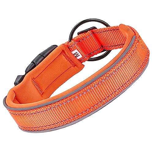 CLSSLVVBN 37 45 cm Haustierhalsband Verstellbare Schnalle Halsbänder Atmungsaktive Halskette Anti verlorener Hals für Outdoor Gartenhof Gehtraining, Orange CLSSLVVBN 37 45 cm Haustierhalsband Verstellbare Schnalle Halsbänder Atmungsaktive Halskette Anti verlorener Hals für Outdoor Gartenhof Gehtraining, Orange von CLSSLVVBN