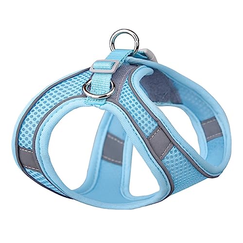CLSSLVVBN Haustier Brustgurt Leine Set, süße Komfortweste, sicheres Steuergeschirr, Tier Schnellverschluss, wildes Halfter, Zubehör, Geschenke, Blau CLSSLVVBN Haustier Brustgurt Leine Set, süße Komfortweste, sicheres Steuergeschirr, Tier Schnellverschluss, wildes Halfter, Zubehör, Geschenke, Blau von CLSSLVVBN