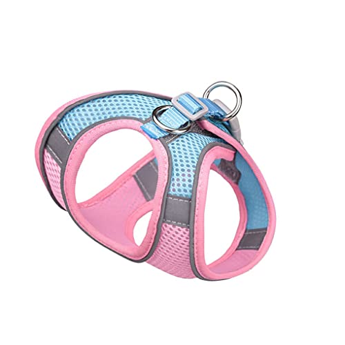 CLSSLVVBN Haustier Brustgurt Leine Set, süße Komfortweste, sicheres Steuergeschirr, Tier Schnellverschluss, wildes Halfter, Zubehör, Geschenke, Pink Blau CLSSLVVBN Haustier Brustgurt Leine Set, süße Komfortweste, sicheres Steuergeschirr, Tier Schnellverschluss, wildes Halfter, Zubehör, Geschenke, Pink Blau von CLSSLVVBN