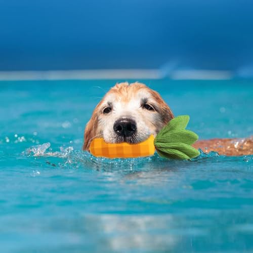 CLSSLVVBN Mittleres quietschendes Kauspielzeug aus Gummi für Hunde, für Aggressive Kauer, süßes Hundespielzeug, Karotte, Naturkautschuk, sicher und langlebig von CLSSLVVBN