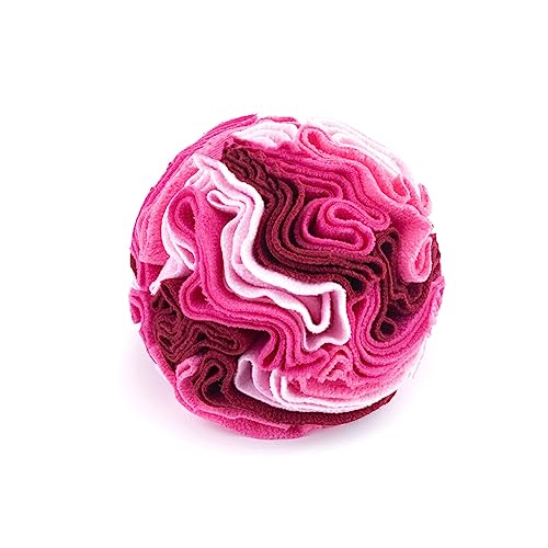 CLSSLVVBN Pets Mat Ball Toy Interactive Portable Dekompression Waschbares Fütterungsspielzeug Spielversorgung für Wohnzimmer Outdoor Garden, Rosa von CLSSLVVBN