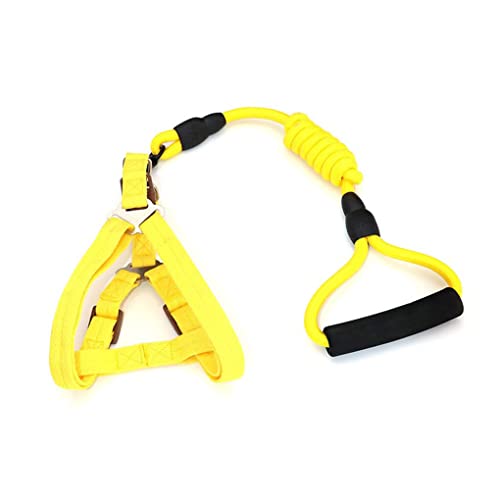 CLSSLVVBN Verstellbare Mini Schweinegeschirrleine Mini Gehgeschirre Verschleißfeste Leinen Sicherer Gürtel Outdoor Bleiseil zum Joggen, Gelb, Größe: 0.8 x 120 cm CLSSLVVBN Verstellbare Mini Schweinegeschirrleine Mini Gehgeschirre Verschleißfeste Leinen Sicherer Gürtel Outdoor Bleiseil zum Joggen, Gelb, Größe: 0.8 x 120 cm von CLSSLVVBN