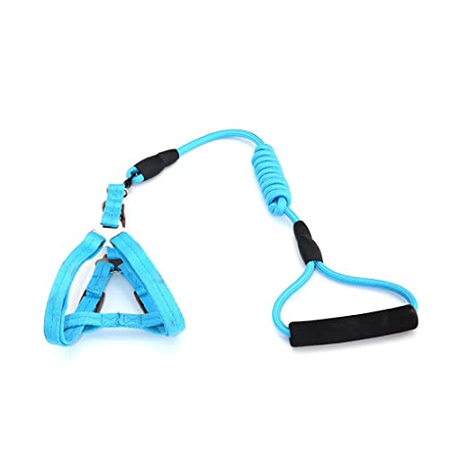 CLSSLVVBN Verstellbare Mini Schweinegeschirrleine Mini Gehgeschirre Verschleißfeste Leinen Sicherer Gürtel Outdoor Bleiseil zum Joggen, Himmelblau, Größe: 0.8 x 120 cm CLSSLVVBN Verstellbare Mini Schweinegeschirrleine Mini Gehgeschirre Verschleißfeste Leinen Sicherer Gürtel Outdoor Bleiseil zum Joggen, Himmelblau, Größe: 0.8 x 120 cm von CLSSLVVBN