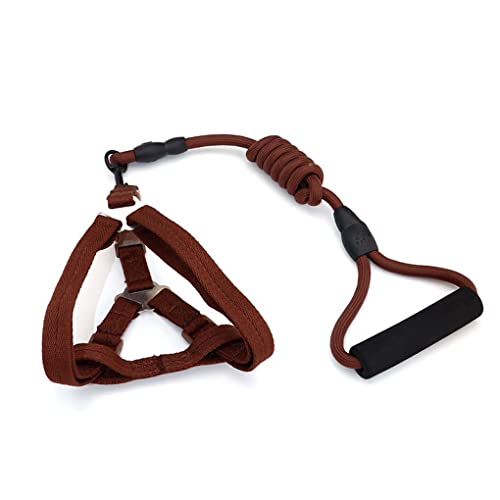 CLSSLVVBN Verstellbare Mini Schweinegeschirrleine Mini Gehgeschirre Verschleißfeste Leinen Sicherer Gürtel Outdoor Bleiseil zum Joggen, Kaffee, 0.6 * 120 cm, S CLSSLVVBN Verstellbare Mini Schweinegeschirrleine Mini Gehgeschirre Verschleißfeste Leinen Sicherer Gürtel Outdoor Bleiseil zum Joggen, Kaffee, 0.6 * 120 cm, S von CLSSLVVBN