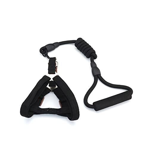 CLSSLVVBN Verstellbare Mini Schweinegeschirrleine Mini Gehgeschirre Verschleißfeste Leinen Sicherer Gürtel Outdoor Bleiseil zum Joggen, Schwarz, Größe: 0.8 x 120 cm CLSSLVVBN Verstellbare Mini Schweinegeschirrleine Mini Gehgeschirre Verschleißfeste Leinen Sicherer Gürtel Outdoor Bleiseil zum Joggen, Schwarz, Größe: 0.8 x 120 cm von CLSSLVVBN