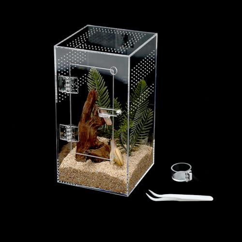 Vogelspinnengehege aus Acryl, springende Spinne, Gehege mit Fronttür, 13 x 13 x 22 cm, Mikro-Lebensraum-Terrarium für kleine Baumbewohner, Reptilien, Spinnen und Wirbellose (Gehege und Futterspender) von CLarellara