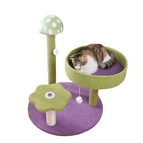 kratzbaum für große Katzen Katze Klettergerüst Pilz Katze Heimtierbedarf Lustiges Katzenkratzbrett Katzenkratzbaum Spielzeug Katzenbedarf katzenhaus drinnen (Color : Groen) von CLoxks