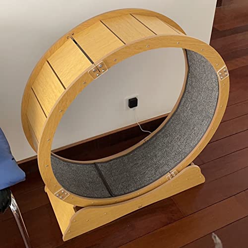 Katzenlaufrad Großes Laufrad für Wohnungskatzen, Kätzchen Kleine Haustiere Katze Räder Laufband Laufen Spielzeug Leise, Katzenlaufrad / Katzenkratzbrett ( Size : M-Inner Diameter 90cm(35 3/8") ) von CMYUN