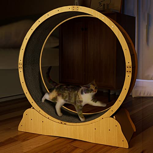 Katzenlaufrad Hochleistungs-Laufrad für Katzen, Großes Mittelgroßes Kleines Leises Katzenlaufrad für Wohnungskatzen, Katzenkratzbrett Katzenlaufrad 80/90/100/113cm ( Size : XL-Inner Diameter 113cm(44 von CMYUN