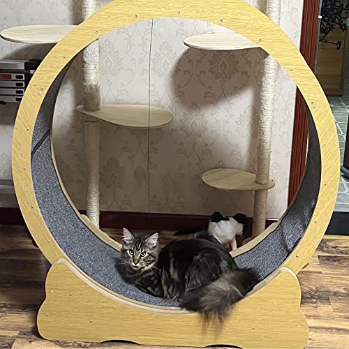 Katzenlaufrad Rundes Katzenlaufrad aus Holz, Hochleistungs-Laufband für Kleine Große Katzenlaufräder, mit Winziger Lücke und Leisen Riemenscheiben, 80/90/100/113cm ( Size : L-Inner Diameter 100cm(39 3 von CMYUN