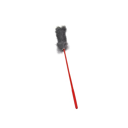 CNAFGBGG Hundekostüme, Hotdog -Kleidung für Hunde, warme weiche süße Party -Cosplay -Kostüme für Welpen kleine Hunde Haustiere, Hundekleidung und Accessoires mit 2 Plüsch -Quietschenspielzeug. CNAFGBGG Hundekostüme, Hotdog -Kleidung für Hunde, warme weiche süße Party -Cosplay -Kostüme für Welpen kleine Hunde Haustiere, Hundekleidung und Accessoires mit 2 Plüsch -Quietschenspielzeug. von CNAFGBGG