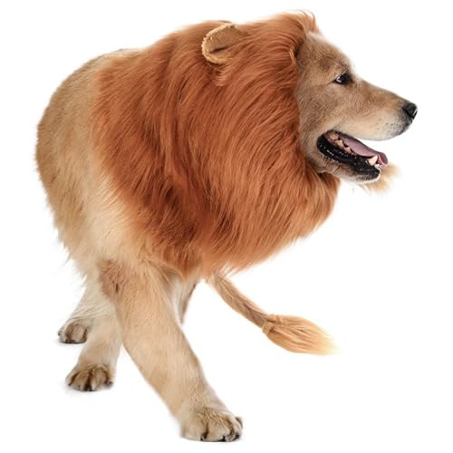 CNAFGBGG Mähne für Hund mit Schwanz lustige süße Hund Mähne kostenlos Größe Hund Kostüm Dekorative Realistische Hund Kostüm für Halloween -Fotoshootings Party. CNAFGBGG Mähne für Hund mit Schwanz lustige süße Hund Mähne kostenlos Größe Hund Kostüm Dekorative Realistische Hund Kostüm für Halloween -Fotoshootings Party. von CNAFGBGG