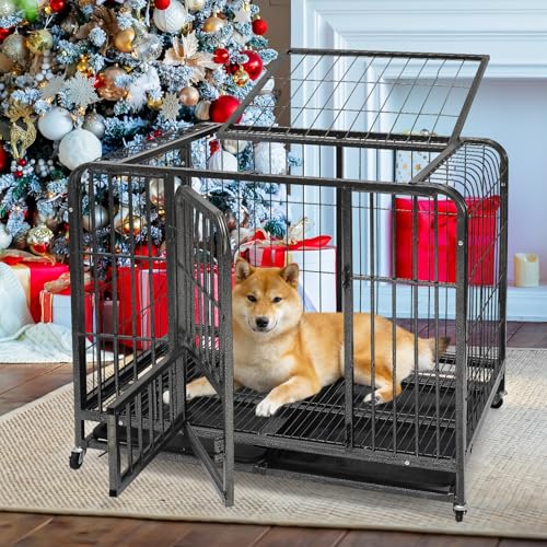 91,4 cm Hundekäfig für mittelgroße Hunde, robuste Hundebox mit abnehmbarem Tablett, Metall-Hundehütte für den Innenbereich, ausbruchsicher, hohe Angstkiste mit Doppeltüren, abschließbare Räder 91,4 cm Hundekäfig für mittelgroße Hunde, robuste Hundebox mit abnehmbarem Tablett, Metall-Hundehütte für den Innenbereich, ausbruchsicher, hohe Angstkiste mit Doppeltüren, abschließbare Räder von COCONUT