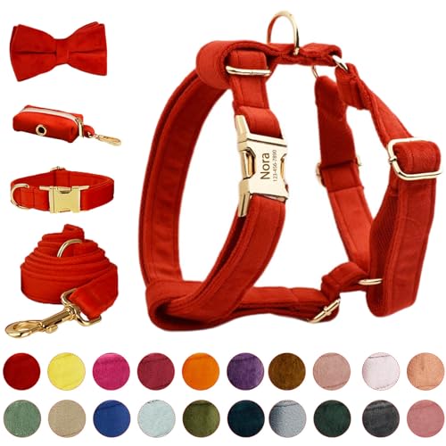 Hundegeschirre Personalisiert mit Metallschnalle, Hundegeschirre mit Namen und Telefonnummer Schriftarten angepasst, benutzerdefinierte Geschirre einstellbare Größen (Harnesses 02) von CODOMOR