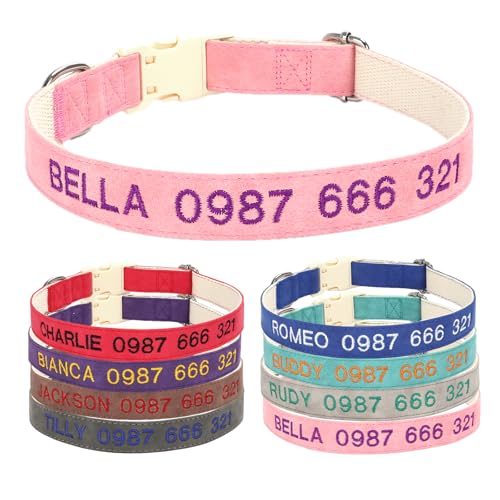 Personalisierte Hundehalsband mit Metallschnalle, Hundehalsbänder mit Namen und Telefonnummer Fonts angepasst, Verstellbare Größen für kleine Hunde große mittlere Hunde (Collar 06) von CODOMOR
