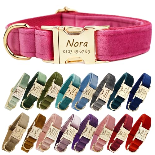Personalisierte Hundehalsband mit Metallschnalle, Hundehalsbänder mit Namen und Telefonnummer Fonts angepasst, benutzerdefinierte Halsbänder verstellbare Größen für große mittlere Hunde (Collar 02) von CODOMOR