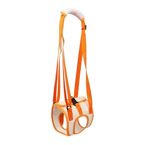 behinderte Hunde XL behinderte Hunde XL von COFEDON