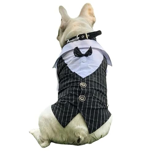 COGOALL Hundeanzug Welpen Hochzeitskleidung Mantel Hündchen Kostüm Haustier Hund Anzug Jacke Teddy Kleiner Hund Katze Frühling Sommer Hundekleidung Dünne Anzug Hemdjacke (L,Black) von COGOALL