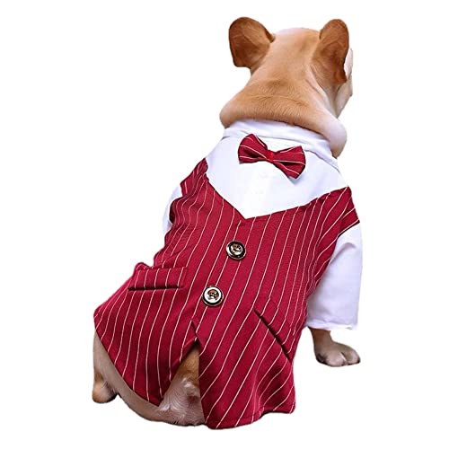 COGOALL Hundeanzug Welpen Hochzeitskleidung Mantel Hündchen Kostüm Haustier Hund Anzug Jacke Teddy Kleiner Hund Katze Frühling Sommer Hundekleidung Dünne Anzug Hemdjacke (L,red) von COGOALL