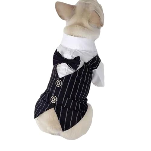 COGOALL Hundeanzug Welpen Hochzeitskleidung Mantel Hündchen Kostüm Haustier Hund Anzug Jacke Teddy Kleiner Hund Katze Frühling Sommer Hundekleidung Dünne Anzug Hemdjacke (S,Navy Blue) von COGOALL