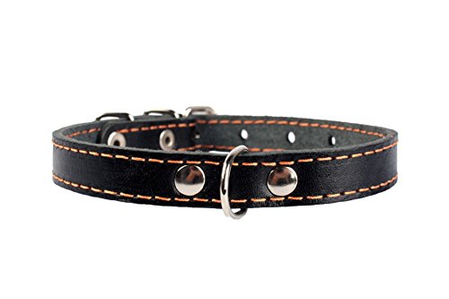 COLLAR Hundehalsband, Leder, 13/16 Zoll, 33 bis 40 cm, Schwarz von COLLAR