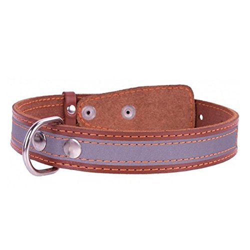 COLLAR Lederhalsband reflektierend für Hunde - 32-40cm, 20mm - braun COLLAR Lederhalsband reflektierend für Hunde - 32-40cm, 20mm - braun von COLLAR