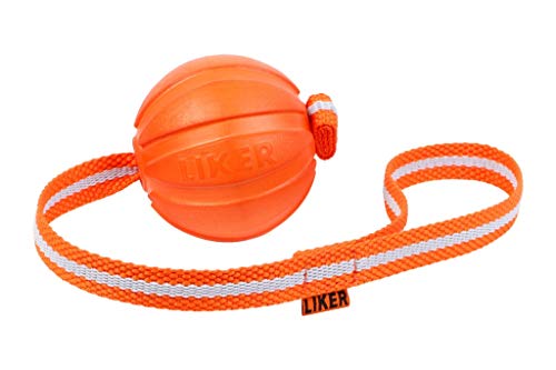 COLLAR Liker Line 5 Hundeball harmlos schwimmend leicht Training Apportierspielzeug von COLLAR