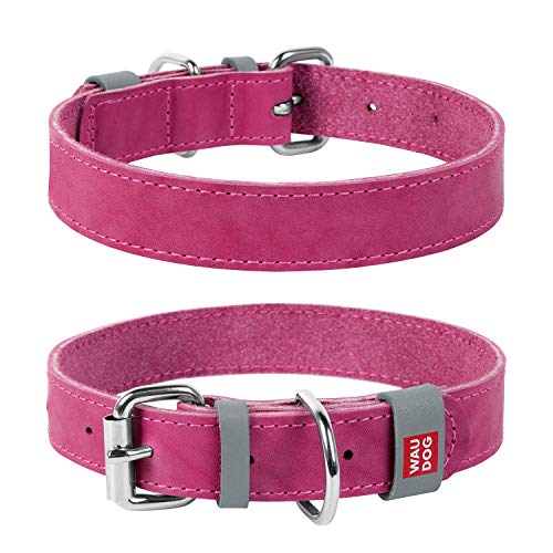 Halsband WAU Dog Classic Leder Hund für kleine Hunde, mittelgroße Hunde, große Hunde | bestes Leder für Hunde, XXS- 1/2" Width X 7 1/2" - 10" Length, rose Halsband WAU Dog Classic Leder Hund für kleine Hunde, mittelgroße Hunde, große Hunde | bestes Leder für Hunde, XXS- 1/2" Width X 7 1/2" - 10" Length, rose von COLLAR