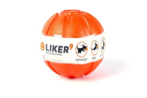 Liker 6294 Einzigartige Harmless Leichte Trainingsball für Hunde Liker 6294 Einzigartige Harmless Leichte Trainingsball für Hunde von COLLAR
