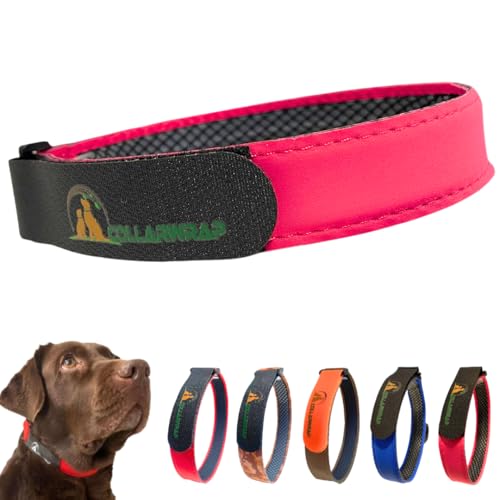 Hundehalsband gegen Parasiten (Rosa, XL: 48 bis 52 cm) von COLLARWRAP