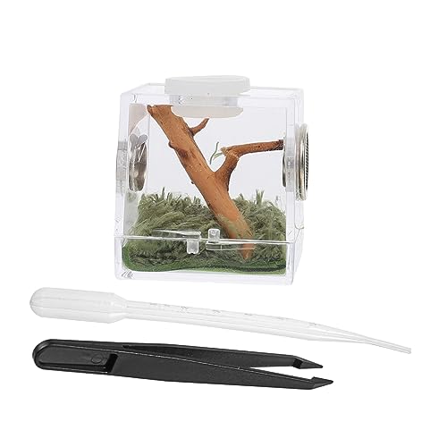 COLLBATH 3 Sets Praktische Reptil Terrarium Acryl Zucht Box Belüfteten Feuchtigkeit Für Hause von COLLBATH