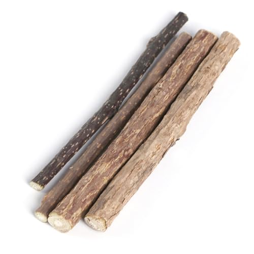 COLLBATH Natur Und Holz 1 Packung/5 Stück Katzen-backenzahnstab Reinigungsstab Für Haustiere Beißspielzeug Für Haustiere Zahnungs- Und Kauspielzeug Für Hunde COLLBATH Natur Und Holz 1 Packung/5 Stück Katzen-backenzahnstab Reinigungsstab Für Haustiere Beißspielzeug Für Haustiere Zahnungs- Und Kauspielzeug Für Hunde von COLLBATH