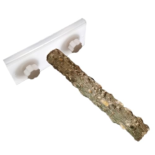 COLLBATH 1 STK Vogel Stehen Fenstervogelbarsch Im Freien Fänger Käfige Hamster Futterspender Abs Vogelkäfig Papageienständer Barsch Papageienbarsch Weiß COLLBATH 1 STK Vogel Stehen Fenstervogelbarsch Im Freien Fänger Käfige Hamster Futterspender Abs Vogelkäfig Papageienständer Barsch Papageienbarsch Weiß von COLLBATH