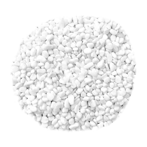 COLLBATH Deko Steine Für Vasen Und Aquarien Kleine Kieselsteine Zum Basteln Natürliche Steine Für Garten Und Teich Robust COLLBATH Deko Steine Für Vasen Und Aquarien Kleine Kieselsteine Zum Basteln Natürliche Steine Für Garten Und Teich Robust von COLLBATH