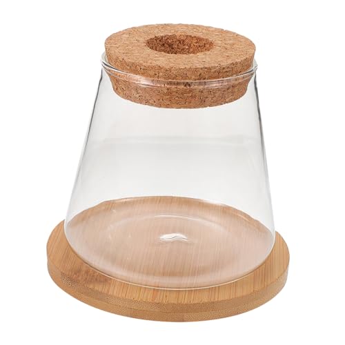 COLLBATH Glasdose Deckel Für Fischglasvase Glasterrarium Mit Kissen Hydrokulturvase Als Pflanzenterrarium Geeignet Für Mikro-landschaftspflanzflasche COLLBATH Glasdose Deckel Für Fischglasvase Glasterrarium Mit Kissen Hydrokulturvase Als Pflanzenterrarium Geeignet Für Mikro-landschaftspflanzflasche von COLLBATH