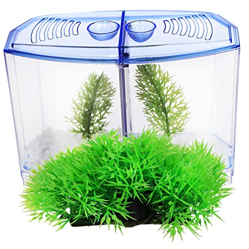 COLLBATH 1 Satz Kunstpflanzen Set für Aquarium Teiliges Set mit Blauem Fischbehälter und Kunststoff Wasserpflanzen für Desktop Dekoration und Kreative Anwendungen COLLBATH 1 Satz Kunstpflanzen Set für Aquarium Teiliges Set mit Blauem Fischbehälter und Kunststoff Wasserpflanzen für Desktop Dekoration und Kreative Anwendungen von COLLBATH