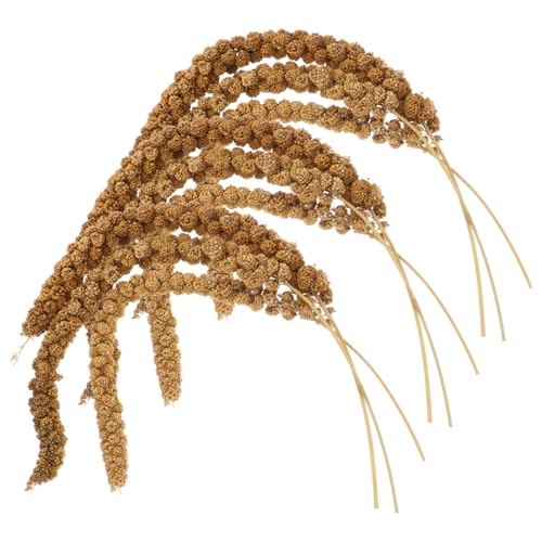 COLLBATH 1 Satz Papageienfutter Vögel natürliche Körner Getreide für Papageien Vogelfutter-Leckerbissen Papagei mahlt Getreidefutter Zubehör für Vogelkäfige Ähren COLLBATH 1 Satz Papageienfutter Vögel natürliche Körner Getreide für Papageien Vogelfutter-Leckerbissen Papagei mahlt Getreidefutter Zubehör für Vogelkäfige Ähren von COLLBATH