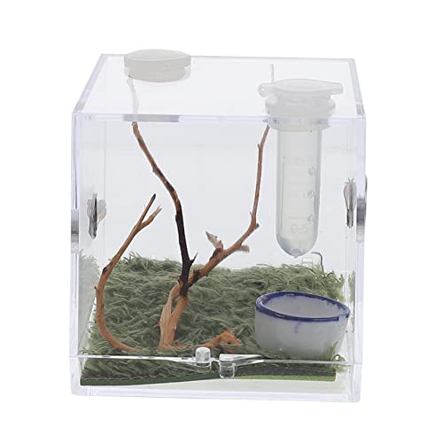 COLLBATH 1 Set Acrylbox Großer Käfig Für Springspinnen Sicheres Material Für Das Wachstum Von Haustieren Einfache Reinigung Zubehör COLLBATH 1 Set Acrylbox Großer Käfig Für Springspinnen Sicheres Material Für Das Wachstum Von Haustieren Einfache Reinigung Zubehör von COLLBATH