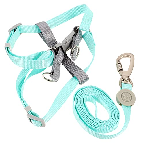COLLBATH Hundegeschirr-Leinen-Set Hundegeschirr Groß Klein Geschirr für Hunde Grün M Leicht zu tragen COLLBATH Hundegeschirr-Leinen-Set Hundegeschirr Groß Klein Geschirr für Hunde Grün M Leicht zu tragen von COLLBATH