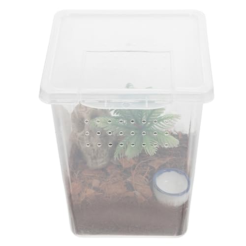 COLLBATH 1 Set Haustier Spinnenbox Tiere Das Tier Haustier Laufstall Innen Transparent Springspinnenkäfig Spinnenhabitat Kunststoff Insektenhabitat Hülle Springspinnengehege Kleines COLLBATH 1 Set Haustier Spinnenbox Tiere Das Tier Haustier Laufstall Innen Transparent Springspinnenkäfig Spinnenhabitat Kunststoff Insektenhabitat Hülle Springspinnengehege Kleines von COLLBATH