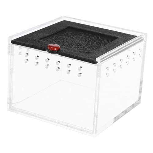 COLLBATH 1stück Mantis Acryl Futterbox Für Reptilien Zuchtbox Für Kleine Tiere Wie Spinnen Geckos Schildkröten Und Mehr Robuste Transparente Aufzuchtbox Aus Hochwertigem Acryl COLLBATH 1stück Mantis Acryl Futterbox Für Reptilien Zuchtbox Für Kleine Tiere Wie Spinnen Geckos Schildkröten Und Mehr Robuste Transparente Aufzuchtbox Aus Hochwertigem Acryl von COLLBATH